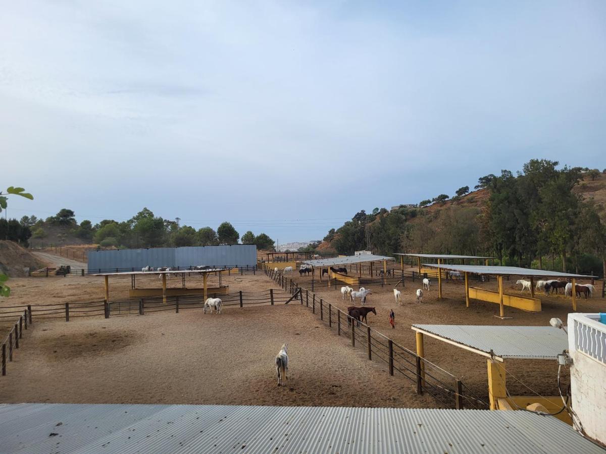 Finca Palmers Mijas Luaran gambar